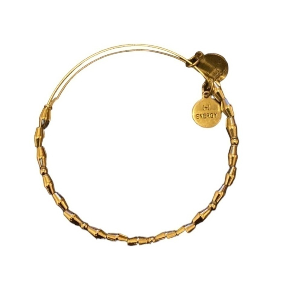 Alex and Ani silver secret santa beaded bracelet